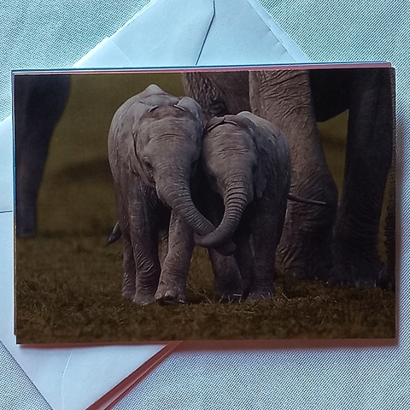 🅓🅞🅝🅐🅣🅔🅓! - Picture 4 of 7